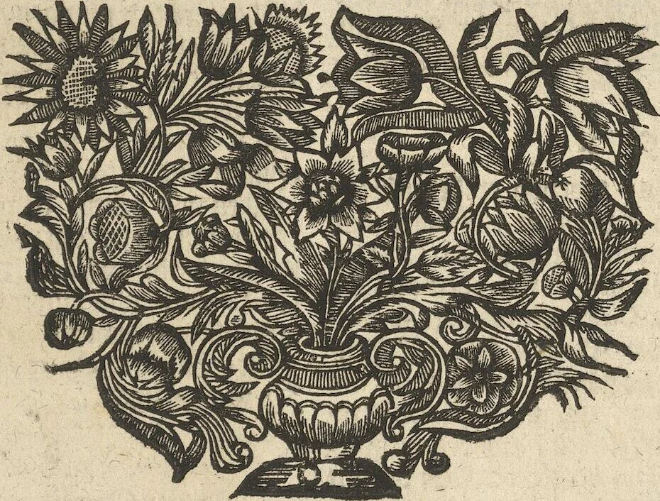 An illustration from Museum Museorum, Oder Vollständige Schau-Bühne Aller Materialien und Specereÿen: Nebst deren Natürlichen Beschreibung/ Election, Nutzen und Gebrauch/ Aus andern Material- Kunst- und Naturalien-Kammern/ Oost- und West-Indischen Reiß-Beschreibungen/ Curiosen Zeit- und Tag-Registern/ Natur- und Artzney-Kündigern/ wie auch selbst-eigenen Erfahrung ..., 1704, leaf 427