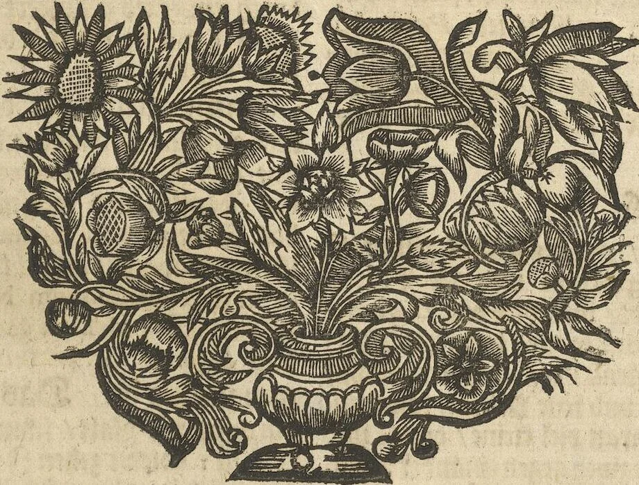 An illustration from Museum Museorum, Oder Vollständige Schau-Bühne Aller Materialien und Specereÿen: Nebst deren Natürlichen Beschreibung/ Election, Nutzen und Gebrauch/ Aus andern Material- Kunst- und Naturalien-Kammern/ Oost- und West-Indischen Reiß-Beschreibungen/ Curiosen Zeit- und Tag-Registern/ Natur- und Artzney-Kündigern/ wie auch selbst-eigenen Erfahrung ..., 1704, leaf 435