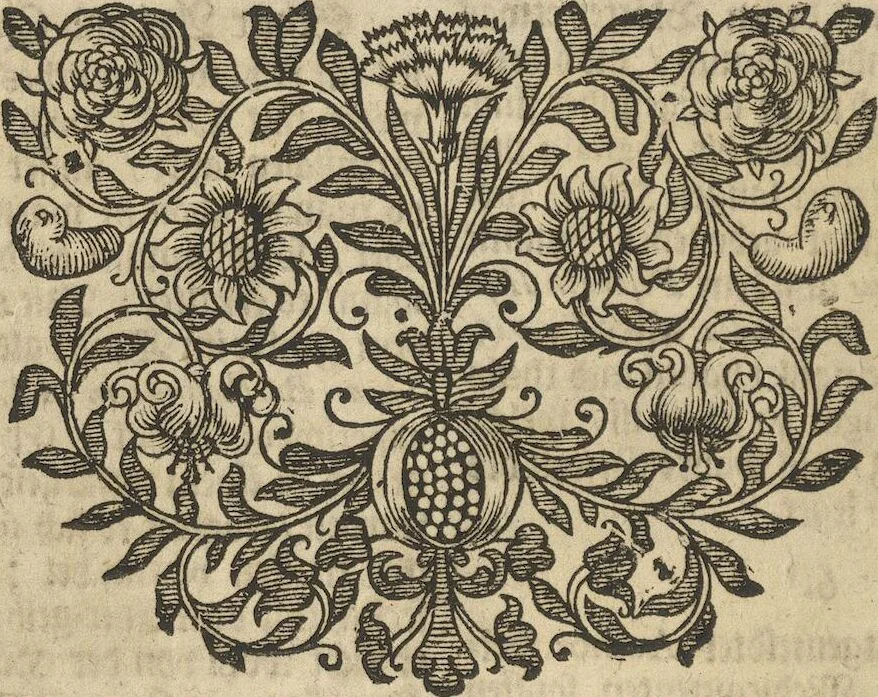 An illustration from Museum Museorum, Oder Vollständige Schau-Bühne Aller Materialien und Specereÿen: Nebst deren Natürlichen Beschreibung/ Election, Nutzen und Gebrauch/ Aus andern Material- Kunst- und Naturalien-Kammern/ Oost- und West-Indischen Reiß-Beschreibungen/ Curiosen Zeit- und Tag-Registern/ Natur- und Artzney-Kündigern/ wie auch selbst-eigenen Erfahrung ..., 1704, leaf 442