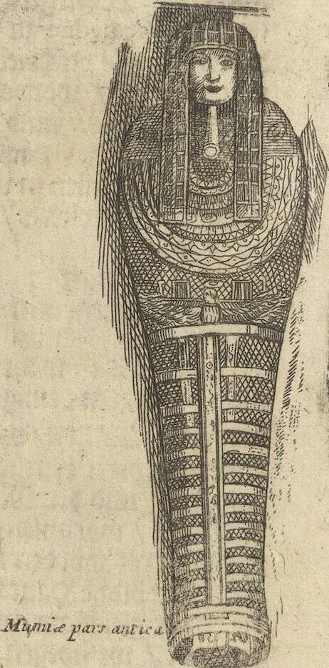 An illustration from Museum Museorum, Oder Vollständige Schau-Bühne Aller Materialien und Specereÿen: Nebst deren Natürlichen Beschreibung/ Election, Nutzen und Gebrauch/ Aus andern Material- Kunst- und Naturalien-Kammern/ Oost- und West-Indischen Reiß-Beschreibungen/ Curiosen Zeit- und Tag-Registern/ Natur- und Artzney-Kündigern/ wie auch selbst-eigenen Erfahrung ..., 1704, leaf 453