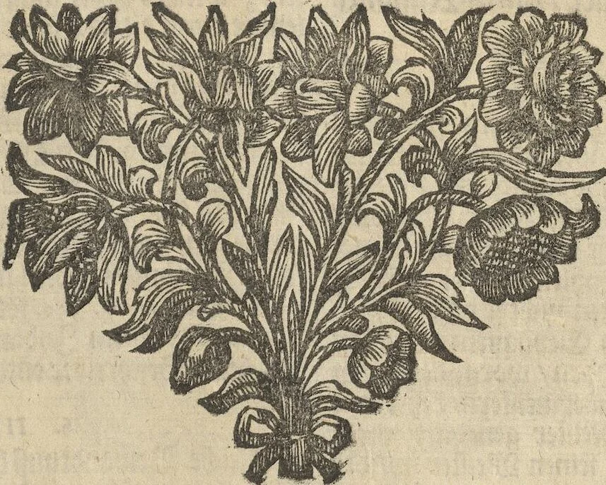 An illustration from Museum Museorum, Oder Vollständige Schau-Bühne Aller Materialien und Specereÿen: Nebst deren Natürlichen Beschreibung/ Election, Nutzen und Gebrauch/ Aus andern Material- Kunst- und Naturalien-Kammern/ Oost- und West-Indischen Reiß-Beschreibungen/ Curiosen Zeit- und Tag-Registern/ Natur- und Artzney-Kündigern/ wie auch selbst-eigenen Erfahrung ..., 1704, leaf 459