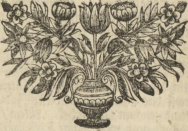 An illustration from Museum Museorum, Oder Vollständige Schau-Bühne Aller Materialien und Specereÿen: Nebst deren Natürlichen Beschreibung/ Election, Nutzen und Gebrauch/ Aus andern Material- Kunst- und Naturalien-Kammern/ Oost- und West-Indischen Reiß-Beschreibungen/ Curiosen Zeit- und Tag-Registern/ Natur- und Artzney-Kündigern/ wie auch selbst-eigenen Erfahrung ..., 1704, leaf 46