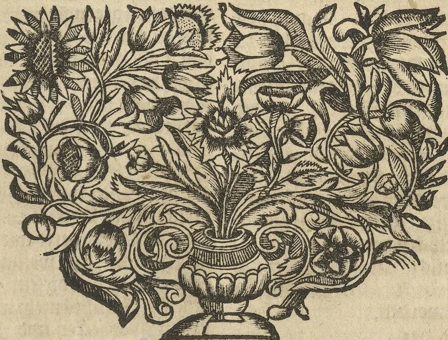 An illustration from Museum Museorum, Oder Vollständige Schau-Bühne Aller Materialien und Specereÿen: Nebst deren Natürlichen Beschreibung/ Election, Nutzen und Gebrauch/ Aus andern Material- Kunst- und Naturalien-Kammern/ Oost- und West-Indischen Reiß-Beschreibungen/ Curiosen Zeit- und Tag-Registern/ Natur- und Artzney-Kündigern/ wie auch selbst-eigenen Erfahrung ..., 1704, leaf 461