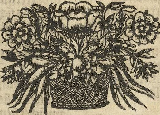 An illustration from Museum Museorum, Oder Vollständige Schau-Bühne Aller Materialien und Specereÿen: Nebst deren Natürlichen Beschreibung/ Election, Nutzen und Gebrauch/ Aus andern Material- Kunst- und Naturalien-Kammern/ Oost- und West-Indischen Reiß-Beschreibungen/ Curiosen Zeit- und Tag-Registern/ Natur- und Artzney-Kündigern/ wie auch selbst-eigenen Erfahrung ..., 1704, leaf 465
