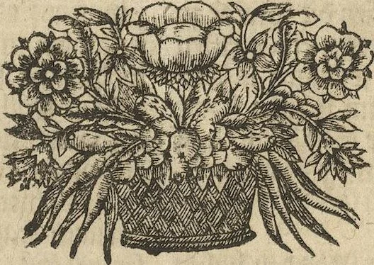 An illustration from Museum Museorum, Oder Vollständige Schau-Bühne Aller Materialien und Specereÿen: Nebst deren Natürlichen Beschreibung/ Election, Nutzen und Gebrauch/ Aus andern Material- Kunst- und Naturalien-Kammern/ Oost- und West-Indischen Reiß-Beschreibungen/ Curiosen Zeit- und Tag-Registern/ Natur- und Artzney-Kündigern/ wie auch selbst-eigenen Erfahrung ..., 1704, leaf 471