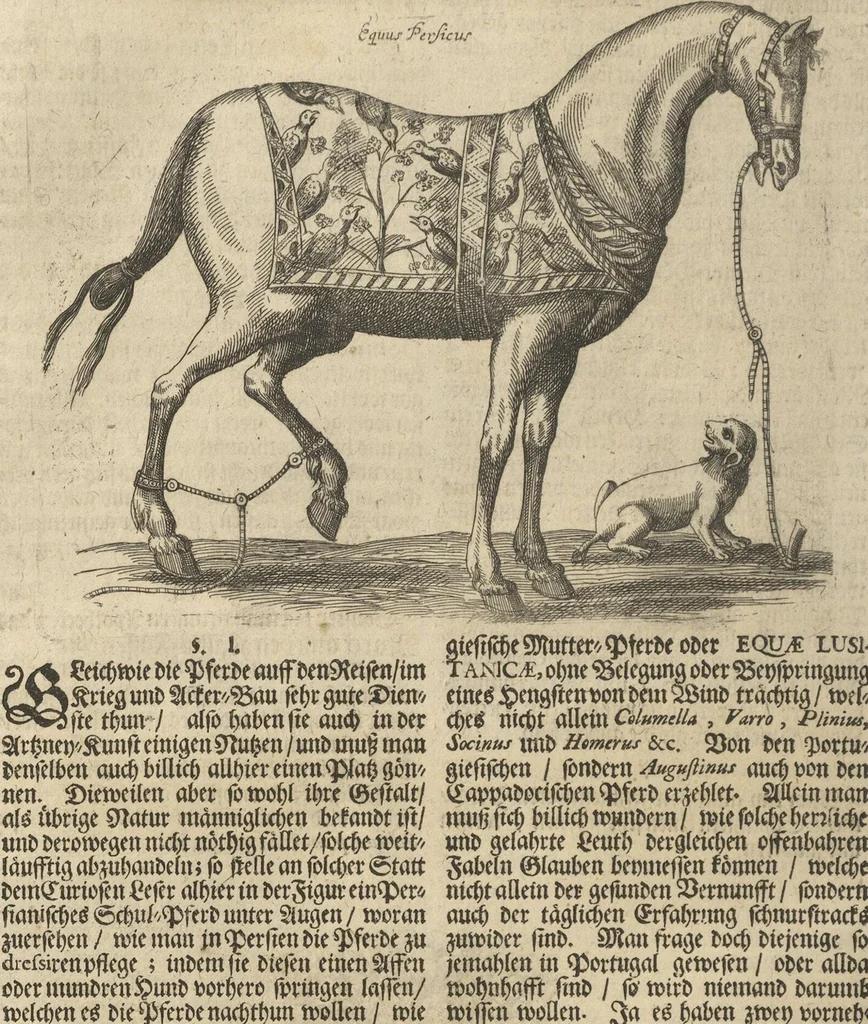 An illustration from Museum Museorum, Oder Vollständige Schau-Bühne Aller Materialien und Specereÿen: Nebst deren Natürlichen Beschreibung/ Election, Nutzen und Gebrauch/ Aus andern Material- Kunst- und Naturalien-Kammern/ Oost- und West-Indischen Reiß-Beschreibungen/ Curiosen Zeit- und Tag-Registern/ Natur- und Artzney-Kündigern/ wie auch selbst-eigenen Erfahrung ..., 1704, leaf 472