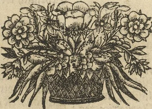 An illustration from Museum Museorum, Oder Vollständige Schau-Bühne Aller Materialien und Specereÿen: Nebst deren Natürlichen Beschreibung/ Election, Nutzen und Gebrauch/ Aus andern Material- Kunst- und Naturalien-Kammern/ Oost- und West-Indischen Reiß-Beschreibungen/ Curiosen Zeit- und Tag-Registern/ Natur- und Artzney-Kündigern/ wie auch selbst-eigenen Erfahrung ..., 1704, leaf 473