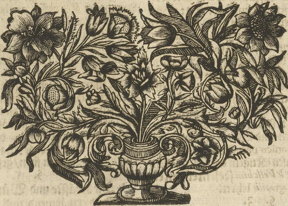 An illustration from Museum Museorum, Oder Vollständige Schau-Bühne Aller Materialien und Specereÿen: Nebst deren Natürlichen Beschreibung/ Election, Nutzen und Gebrauch/ Aus andern Material- Kunst- und Naturalien-Kammern/ Oost- und West-Indischen Reiß-Beschreibungen/ Curiosen Zeit- und Tag-Registern/ Natur- und Artzney-Kündigern/ wie auch selbst-eigenen Erfahrung ..., 1704, leaf 483