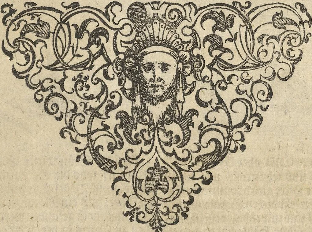 An illustration from Museum Museorum, Oder Vollständige Schau-Bühne Aller Materialien und Specereÿen: Nebst deren Natürlichen Beschreibung/ Election, Nutzen und Gebrauch/ Aus andern Material- Kunst- und Naturalien-Kammern/ Oost- und West-Indischen Reiß-Beschreibungen/ Curiosen Zeit- und Tag-Registern/ Natur- und Artzney-Kündigern/ wie auch selbst-eigenen Erfahrung ..., 1704, leaf 495