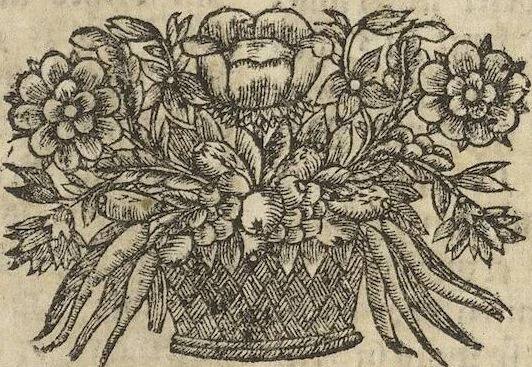 An illustration from Museum Museorum, Oder Vollständige Schau-Bühne Aller Materialien und Specereÿen: Nebst deren Natürlichen Beschreibung/ Election, Nutzen und Gebrauch/ Aus andern Material- Kunst- und Naturalien-Kammern/ Oost- und West-Indischen Reiß-Beschreibungen/ Curiosen Zeit- und Tag-Registern/ Natur- und Artzney-Kündigern/ wie auch selbst-eigenen Erfahrung ..., 1704, leaf 51