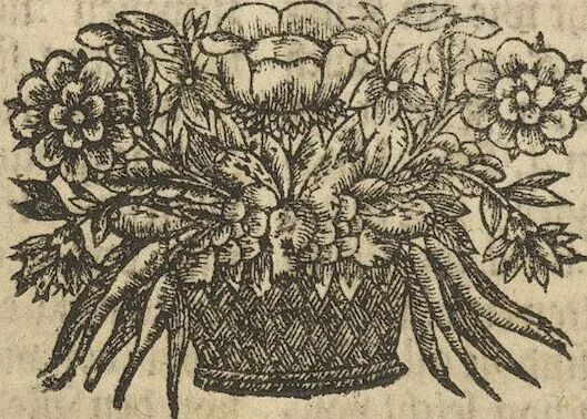 An illustration from Museum Museorum, Oder Vollständige Schau-Bühne Aller Materialien und Specereÿen: Nebst deren Natürlichen Beschreibung/ Election, Nutzen und Gebrauch/ Aus andern Material- Kunst- und Naturalien-Kammern/ Oost- und West-Indischen Reiß-Beschreibungen/ Curiosen Zeit- und Tag-Registern/ Natur- und Artzney-Kündigern/ wie auch selbst-eigenen Erfahrung ..., 1704, leaf 528
