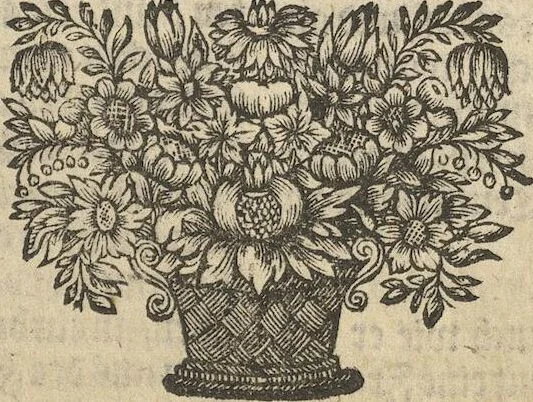 An illustration from Museum Museorum, Oder Vollständige Schau-Bühne Aller Materialien und Specereÿen: Nebst deren Natürlichen Beschreibung/ Election, Nutzen und Gebrauch/ Aus andern Material- Kunst- und Naturalien-Kammern/ Oost- und West-Indischen Reiß-Beschreibungen/ Curiosen Zeit- und Tag-Registern/ Natur- und Artzney-Kündigern/ wie auch selbst-eigenen Erfahrung ..., 1704, leaf 547