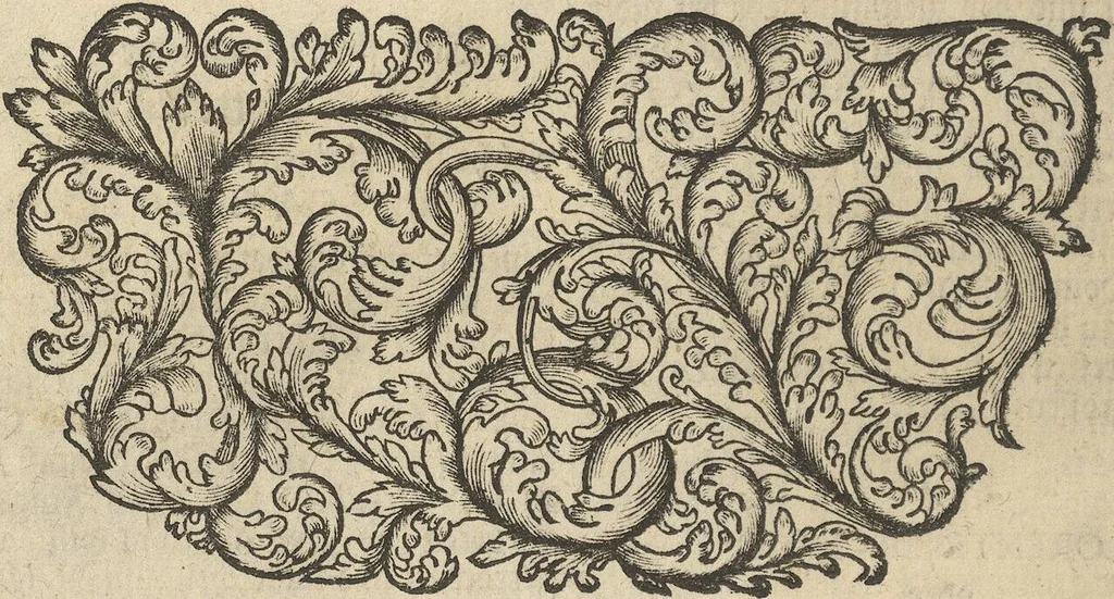 An illustration from Museum Museorum, Oder Vollständige Schau-Bühne Aller Materialien und Specereÿen: Nebst deren Natürlichen Beschreibung/ Election, Nutzen und Gebrauch/ Aus andern Material- Kunst- und Naturalien-Kammern/ Oost- und West-Indischen Reiß-Beschreibungen/ Curiosen Zeit- und Tag-Registern/ Natur- und Artzney-Kündigern/ wie auch selbst-eigenen Erfahrung ..., 1704, leaf 556