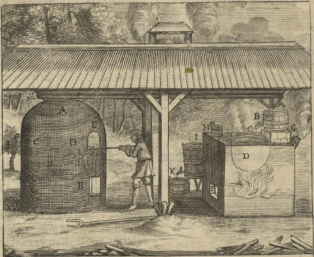 An illustration from Museum Museorum, Oder Vollständige Schau-Bühne Aller Materialien und Specereÿen: Nebst deren Natürlichen Beschreibung/ Election, Nutzen und Gebrauch/ Aus andern Material- Kunst- und Naturalien-Kammern/ Oost- und West-Indischen Reiß-Beschreibungen/ Curiosen Zeit- und Tag-Registern/ Natur- und Artzney-Kündigern/ wie auch selbst-eigenen Erfahrung ..., 1704, leaf 58