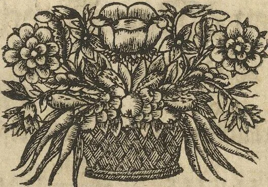 An illustration from Museum Museorum, Oder Vollständige Schau-Bühne Aller Materialien und Specereÿen: Nebst deren Natürlichen Beschreibung/ Election, Nutzen und Gebrauch/ Aus andern Material- Kunst- und Naturalien-Kammern/ Oost- und West-Indischen Reiß-Beschreibungen/ Curiosen Zeit- und Tag-Registern/ Natur- und Artzney-Kündigern/ wie auch selbst-eigenen Erfahrung ..., 1704, leaf 637