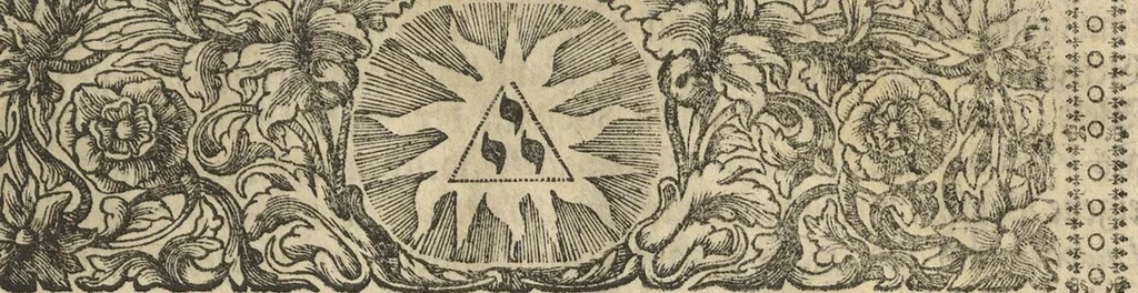 An illustration from Museum Museorum, Oder Vollständige Schau-Bühne Aller Materialien und Specereÿen: Nebst deren Natürlichen Beschreibung/ Election, Nutzen und Gebrauch/ Aus andern Material- Kunst- und Naturalien-Kammern/ Oost- und West-Indischen Reiß-Beschreibungen/ Curiosen Zeit- und Tag-Registern/ Natur- und Artzney-Kündigern/ wie auch selbst-eigenen Erfahrung ..., 1704, leaf 641