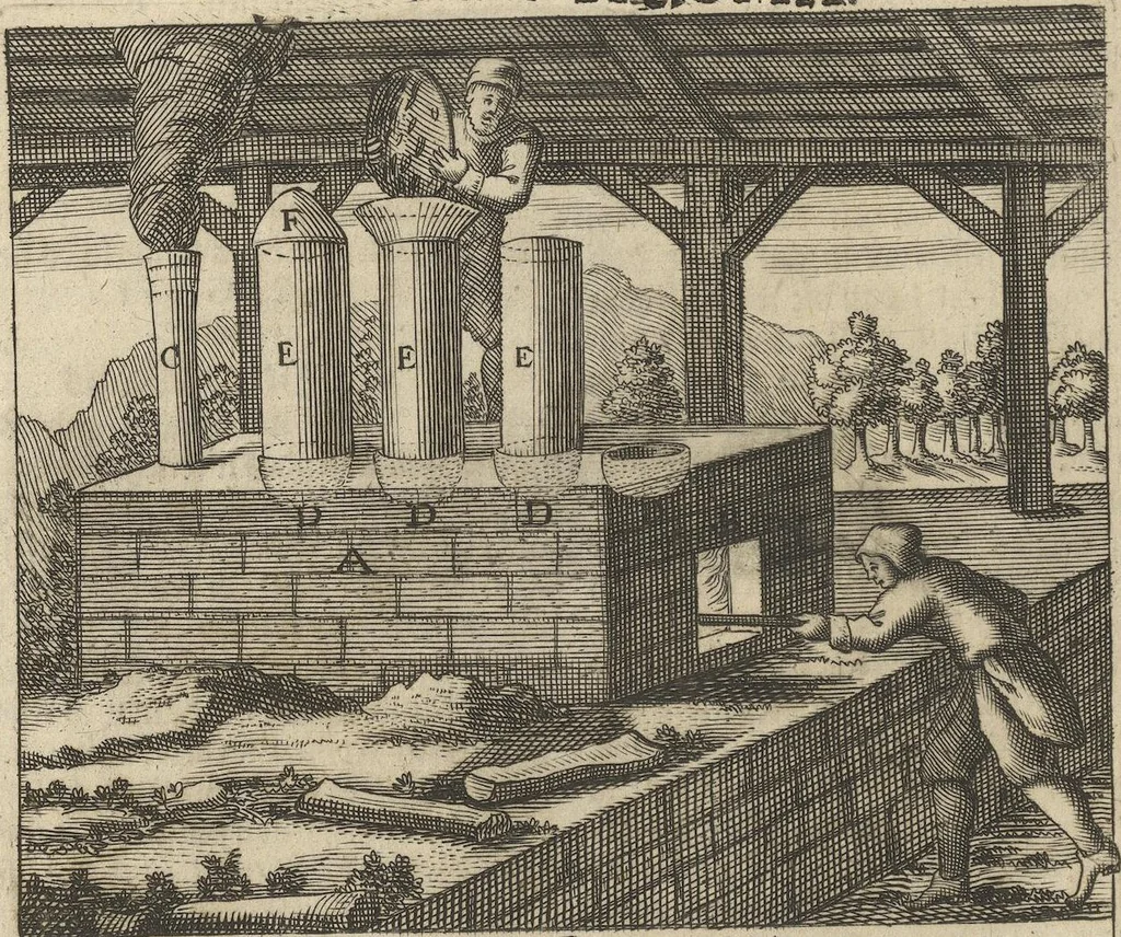 An illustration from Museum Museorum, Oder Vollständige Schau-Bühne Aller Materialien und Specereÿen: Nebst deren Natürlichen Beschreibung/ Election, Nutzen und Gebrauch/ Aus andern Material- Kunst- und Naturalien-Kammern/ Oost- und West-Indischen Reiß-Beschreibungen/ Curiosen Zeit- und Tag-Registern/ Natur- und Artzney-Kündigern/ wie auch selbst-eigenen Erfahrung ..., 1704, leaf 70