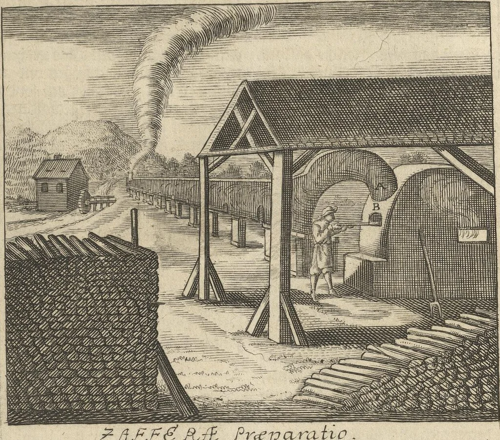 An illustration from Museum Museorum, Oder Vollständige Schau-Bühne Aller Materialien und Specereÿen: Nebst deren Natürlichen Beschreibung/ Election, Nutzen und Gebrauch/ Aus andern Material- Kunst- und Naturalien-Kammern/ Oost- und West-Indischen Reiß-Beschreibungen/ Curiosen Zeit- und Tag-Registern/ Natur- und Artzney-Kündigern/ wie auch selbst-eigenen Erfahrung ..., 1704, leaf 73