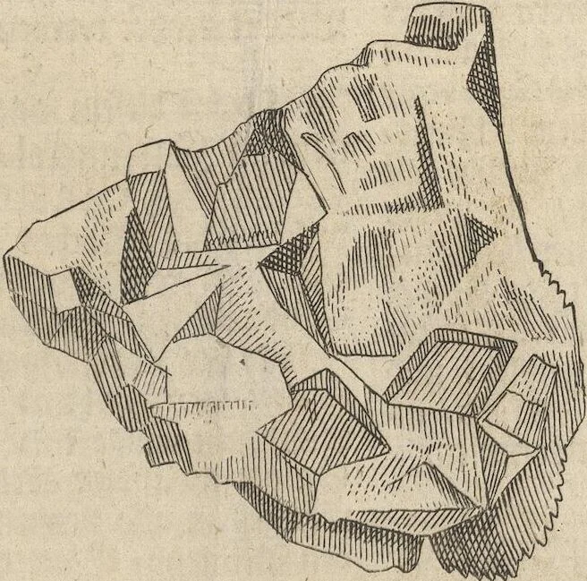 An illustration from Museum Museorum, Oder Vollständige Schau-Bühne Aller Materialien und Specereÿen: Nebst deren Natürlichen Beschreibung/ Election, Nutzen und Gebrauch/ Aus andern Material- Kunst- und Naturalien-Kammern/ Oost- und West-Indischen Reiß-Beschreibungen/ Curiosen Zeit- und Tag-Registern/ Natur- und Artzney-Kündigern/ wie auch selbst-eigenen Erfahrung ..., 1704, leaf 75