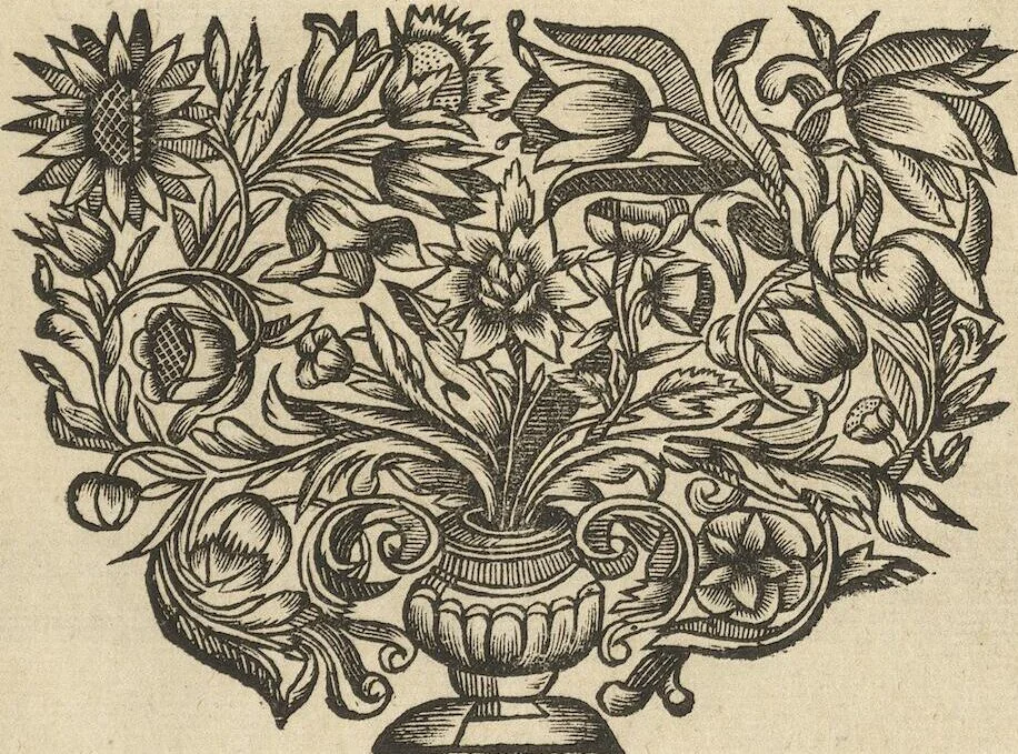 An illustration from Museum Museorum, Oder Vollständige Schau-Bühne Aller Materialien und Specereÿen: Nebst deren Natürlichen Beschreibung/ Election, Nutzen und Gebrauch/ Aus andern Material- Kunst- und Naturalien-Kammern/ Oost- und West-Indischen Reiß-Beschreibungen/ Curiosen Zeit- und Tag-Registern/ Natur- und Artzney-Kündigern/ wie auch selbst-eigenen Erfahrung ..., 1704, leaf 778