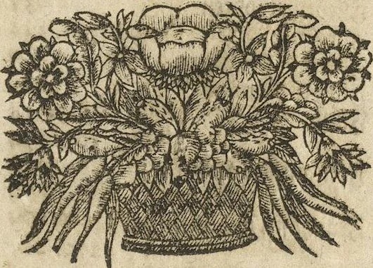 An illustration from Museum Museorum, Oder Vollständige Schau-Bühne Aller Materialien und Specereÿen: Nebst deren Natürlichen Beschreibung/ Election, Nutzen und Gebrauch/ Aus andern Material- Kunst- und Naturalien-Kammern/ Oost- und West-Indischen Reiß-Beschreibungen/ Curiosen Zeit- und Tag-Registern/ Natur- und Artzney-Kündigern/ wie auch selbst-eigenen Erfahrung ..., 1704, leaf 793