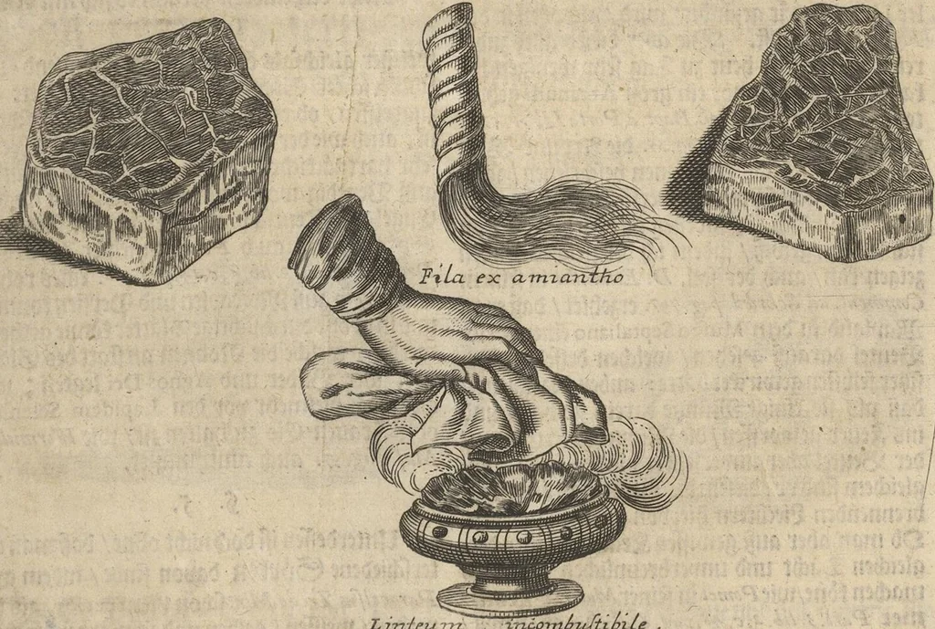 An illustration from Museum Museorum, Oder Vollständige Schau-Bühne Aller Materialien und Specereÿen: Nebst deren Natürlichen Beschreibung/ Election, Nutzen und Gebrauch/ Aus andern Material- Kunst- und Naturalien-Kammern/ Oost- und West-Indischen Reiß-Beschreibungen/ Curiosen Zeit- und Tag-Registern/ Natur- und Artzney-Kündigern/ wie auch selbst-eigenen Erfahrung ..., 1704, leaf 83