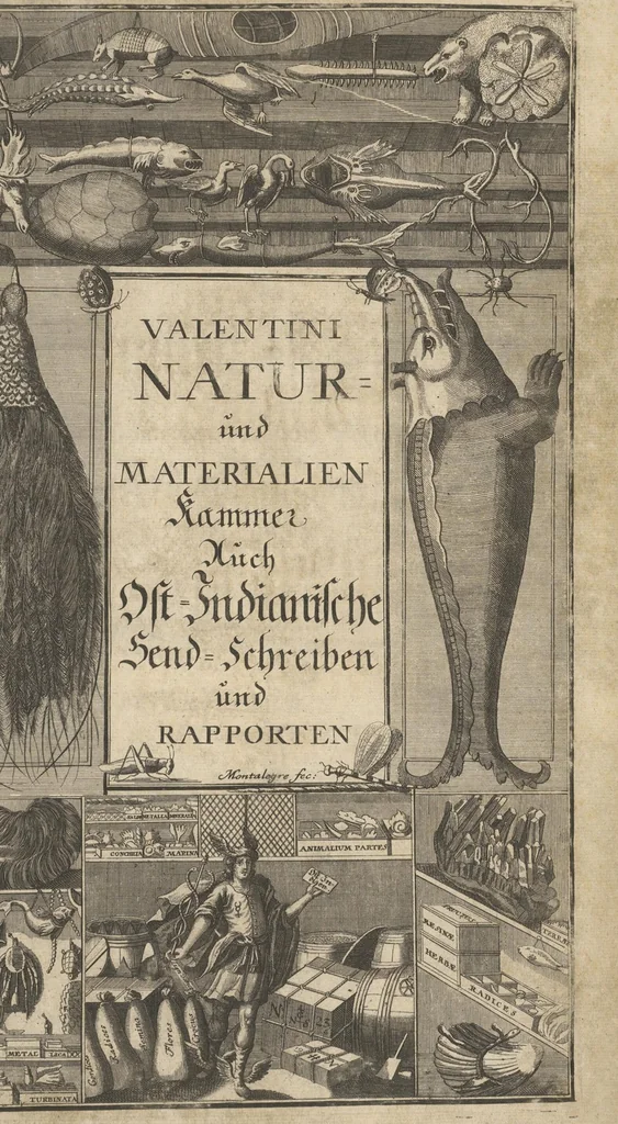 An illustration from Museum Museorum, Oder Vollständige Schau-Bühne Aller Materialien und Specereÿen: Nebst deren Natürlichen Beschreibung/ Election, Nutzen und Gebrauch/ Aus andern Material- Kunst- und Naturalien-Kammern/ Oost- und West-Indischen Reiß-Beschreibungen/ Curiosen Zeit- und Tag-Registern/ Natur- und Artzney-Kündigern/ wie auch selbst-eigenen Erfahrung ..., 1704, leaf 9
