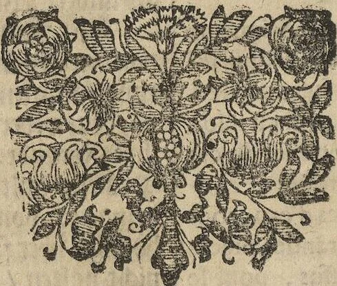 An illustration from Museum Museorum, Oder Vollständige Schau-Bühne Aller Materialien und Specereÿen: Nebst deren Natürlichen Beschreibung/ Election, Nutzen und Gebrauch/ Aus andern Material- Kunst- und Naturalien-Kammern/ Oost- und West-Indischen Reiß-Beschreibungen/ Curiosen Zeit- und Tag-Registern/ Natur- und Artzney-Kündigern/ wie auch selbst-eigenen Erfahrung ..., 1704, leaf 96