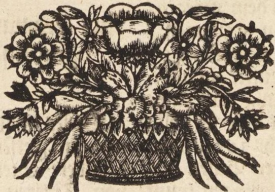 An illustration from (Zweyter Theil), 1714, leaf 107