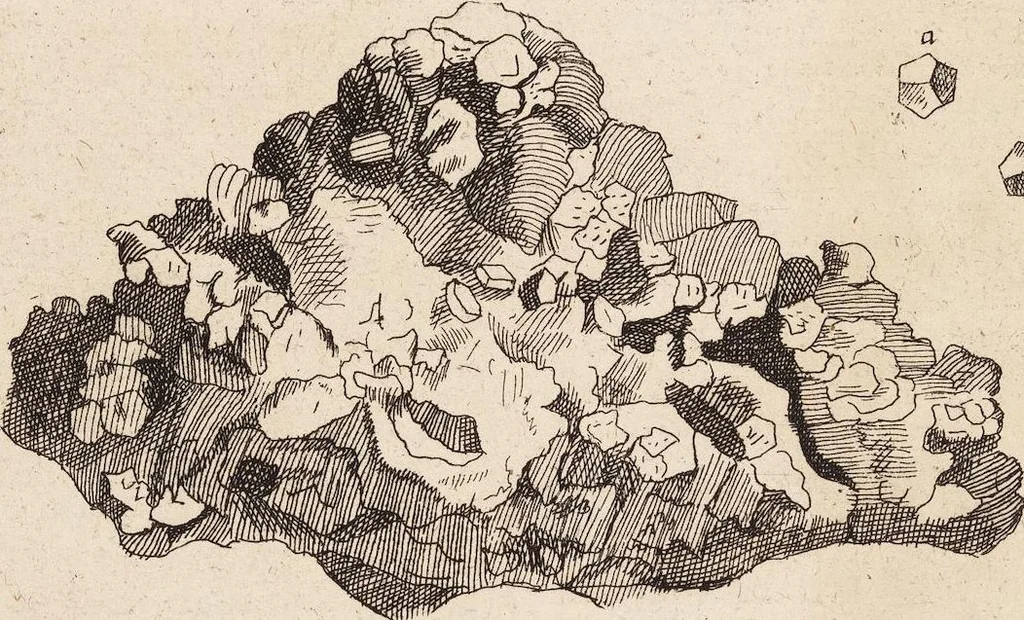 An illustration from (Zweyter Theil), 1714, leaf 132
