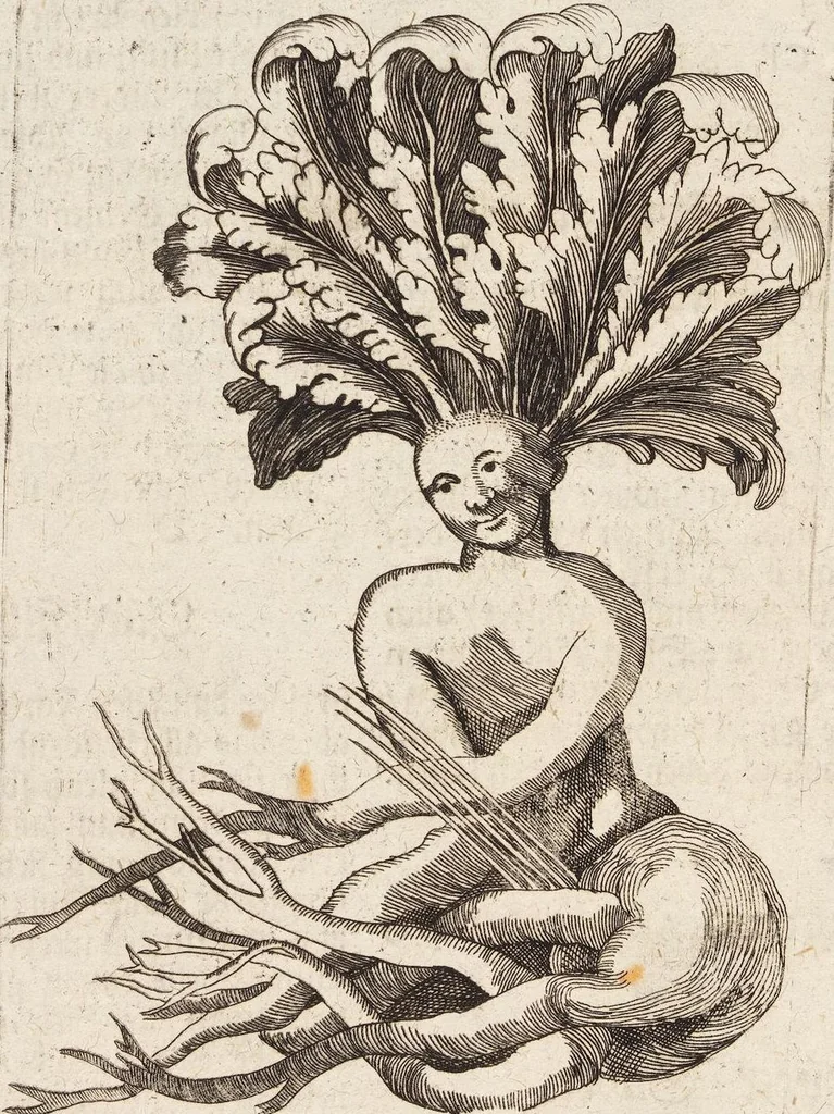 An illustration from (Zweyter Theil), 1714, leaf 134