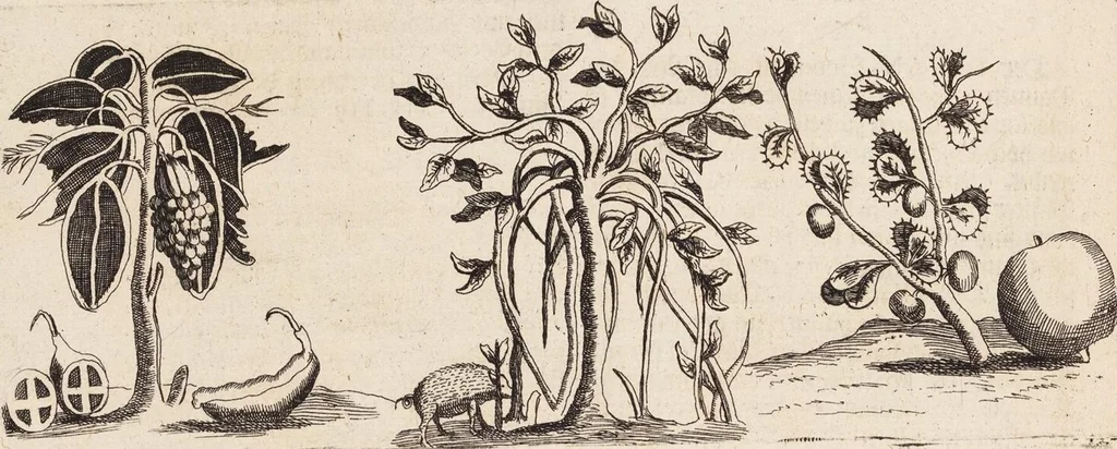 An illustration from (Zweyter Theil), 1714, leaf 148