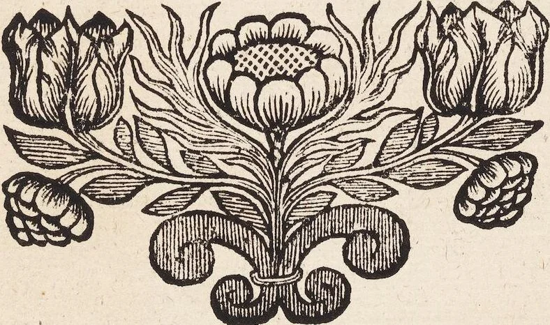 An illustration from (Zweyter Theil), 1714, leaf 155