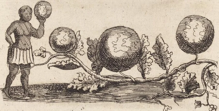 An illustration from (Zweyter Theil), 1714, leaf 157