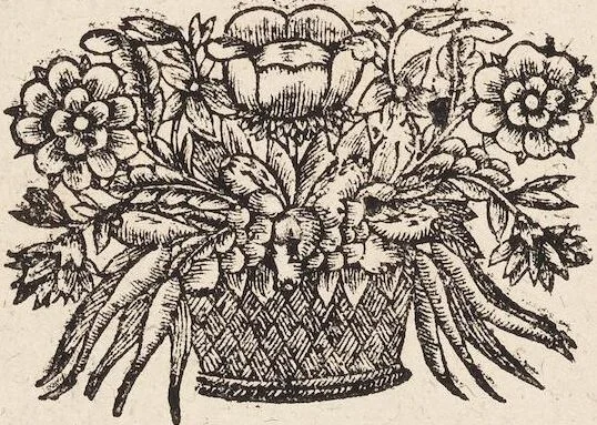 An illustration from (Zweyter Theil), 1714, leaf 212