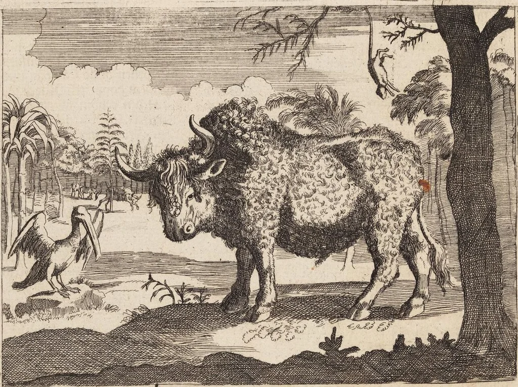 An illustration from (Zweyter Theil), 1714, leaf 213