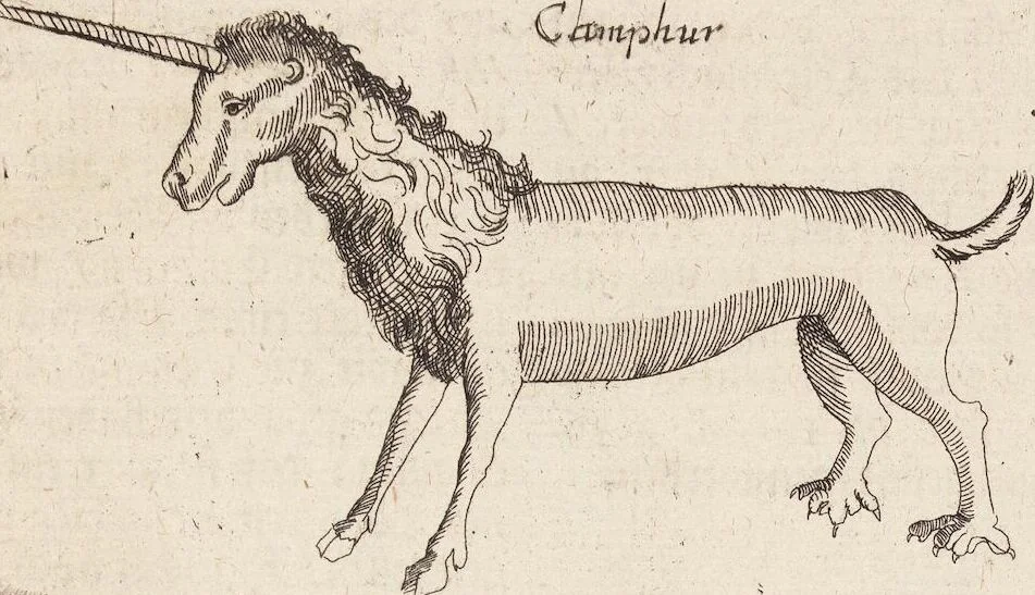 An illustration from (Zweyter Theil), 1714, leaf 231