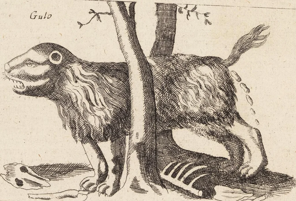 An illustration from (Zweyter Theil), 1714, leaf 232