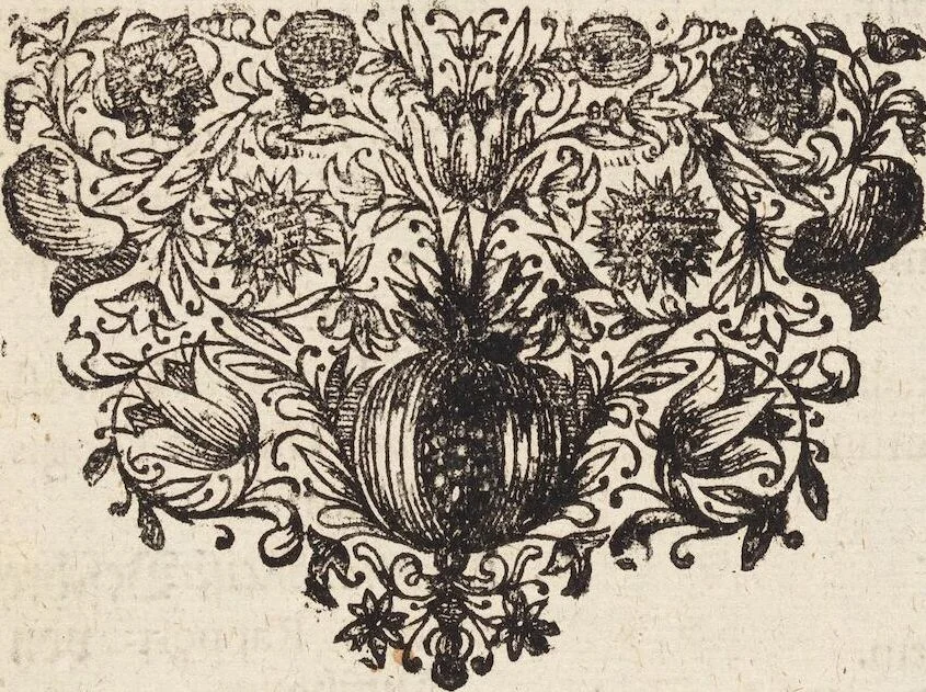 An illustration from (Zweyter Theil), 1714, leaf 25
