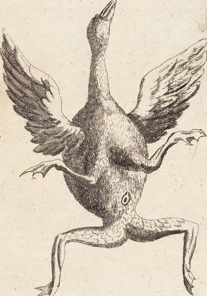 An illustration from (Zweyter Theil), 1714, leaf 264