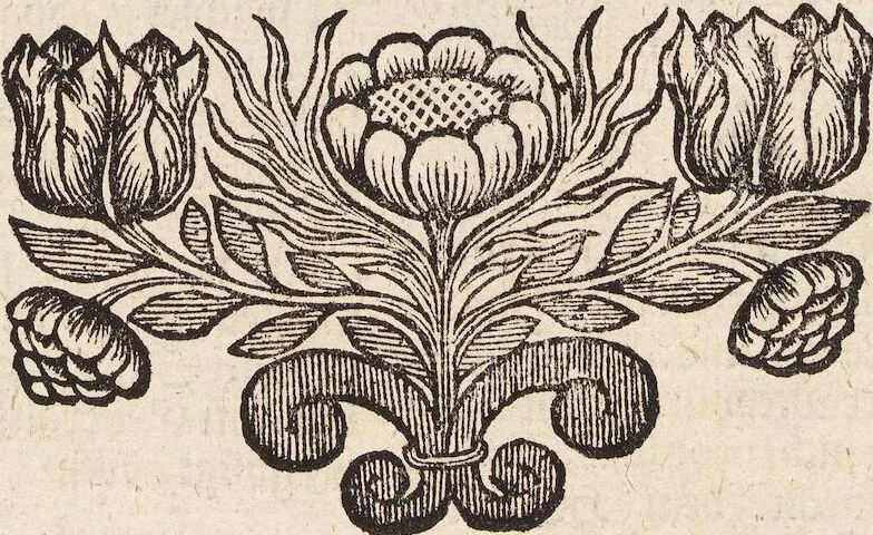 An illustration from (Zweyter Theil), 1714, leaf 326