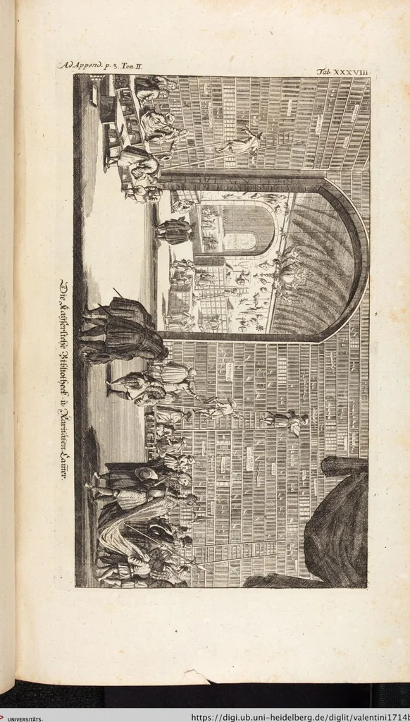 An illustration from (Zweyter Theil), 1714, leaf 329