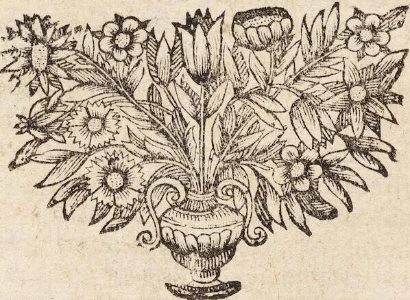 An illustration from (Zweyter Theil), 1714, leaf 353