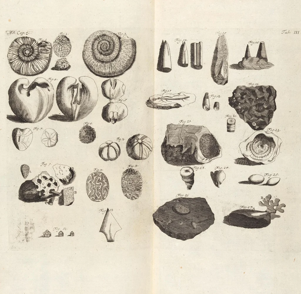 An illustration from (Zweyter Theil), 1714, leaf 46