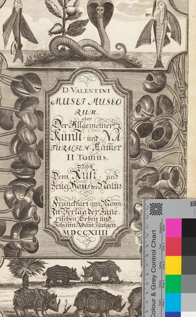 An illustration from (Zweyter Theil), 1714, leaf 465