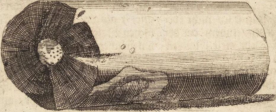 An illustration from (Zweyter Theil), 1714, leaf 69