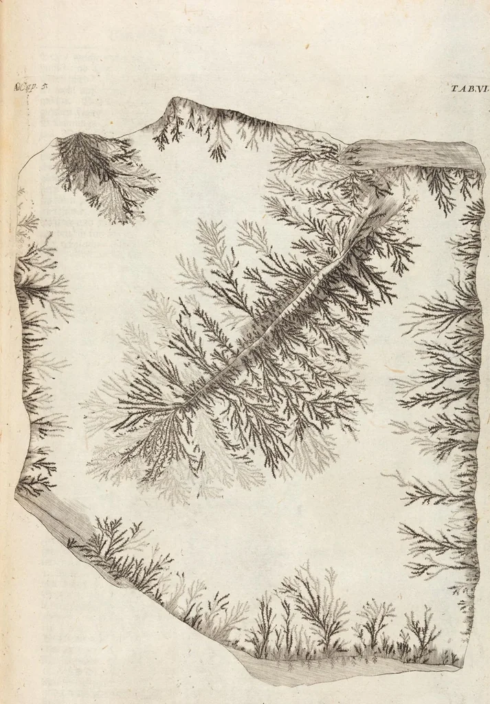 An illustration from (Zweyter Theil), 1714, leaf 82