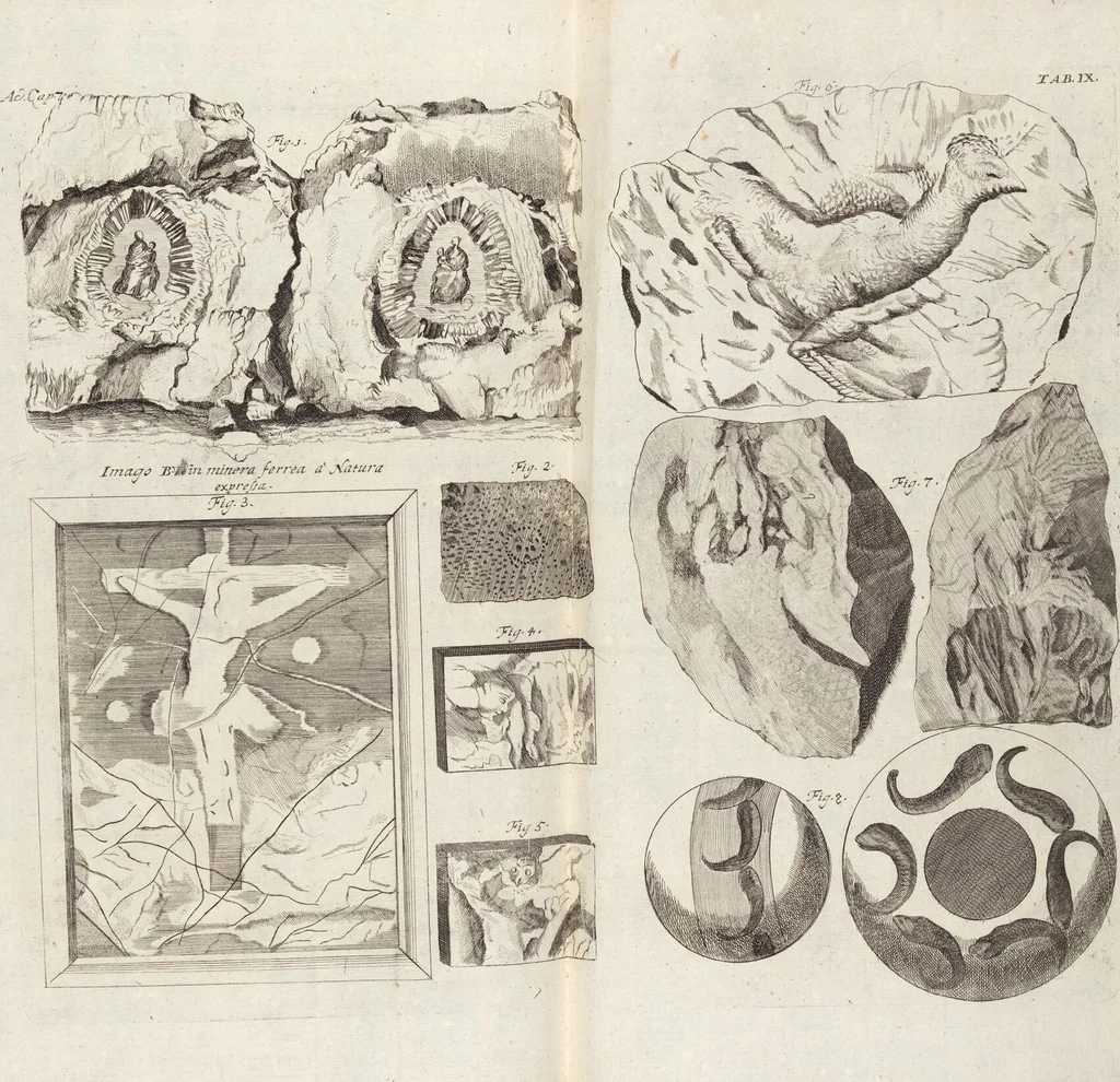 An illustration from (Zweyter Theil), 1714, leaf 98