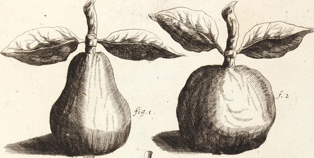 An illustration from (Dritter Theil): Neu-auffgerichtetes Rüst- und Zeughauß Der Natur: Worinnen Die so wundersame/ curiöse/ auch sehr nützliche Machinen und Instrumenten/ deren sich die heutige Naturkündiger in Erforschung der natürlichen Ursachen bedienen/ zu sehen und zu finden sind. Zum Vorschub aller derjenigen/ so der Lateinischen Sprach nicht mächtig sind/ und dennoch ihren Schöpffer in der Natur zu verehren suchen ..., 1714, leaf 15