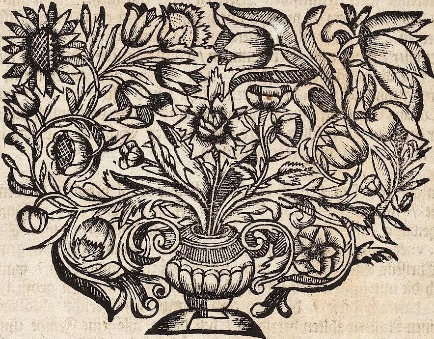 An illustration from Viridarium Reformatum, Seu Regnum Vegetabile, Das ist: Neu-eingerichtetes und Vollständiges Kräuter-Buch: Worinnen auff noch nicht geschehene Weise Derer Vegetabilien, als Kräutern, Sträuchen, Bäumen, Bluhmen und anderer Erd-Gewachsen Art, Krafft und Würckung dergestalt beschrieben werden, daß man dieses Werck statt einer Botanischen Bibliothec haben ... kan, 1719, leaf 1109